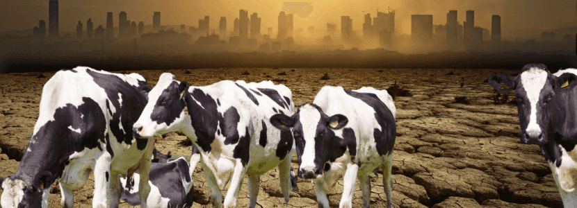 ¿POR QUÉ LA GANADERÍA TIENE QUE SUFRAGAR LA CONTAMINACIÓN CAUSADA POR OTRAS ACTIVIDADES?
