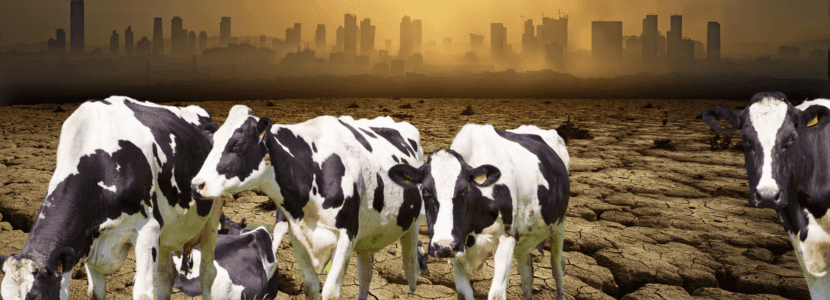 ¿POR QUÉ LA GANADERÍA TIENE QUE SUFRAGAR LA CONTAMINACIÓN CAUSADA POR OTRAS ACTIVIDADES?
