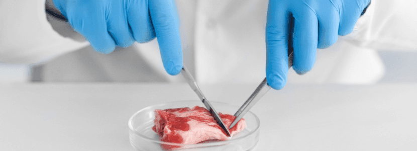 Después del anuncio de Holanda, Europa se abre a la degustación de carne cultivada