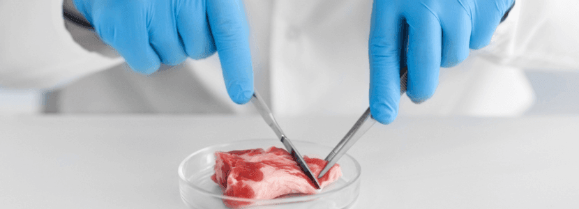 Después del anuncio de Holanda, Europa se abre a la degustación de carne cultivada
