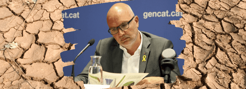 El vacuno de engorde catalán reclama al conseller Mascort ayudas para la compra de paja