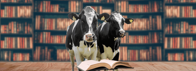Introducción a las claves de la nueva ordenación bovina