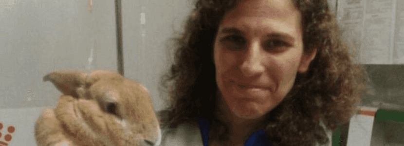 Muere una docente veterinaria durante un vuelo