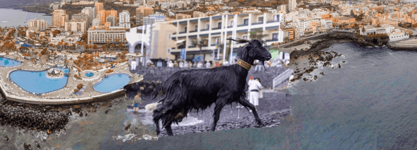 Tradición de las cabras en Puerto de la Cruz