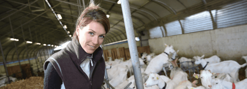 500.000 euros para fomentar la participación de las mujeres en el desarrollo social y económico del medio rural