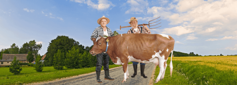 Desconcierto entre agricultores y ganaderos sobre las ayudas por sequía
