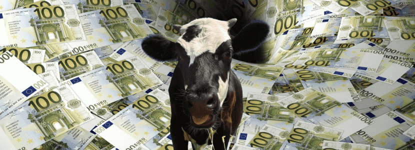 El Gobierno de Asturias concede más de 17 millones en ayudas Leader para apoyar 390 proyectos emprendedores en el medio rural