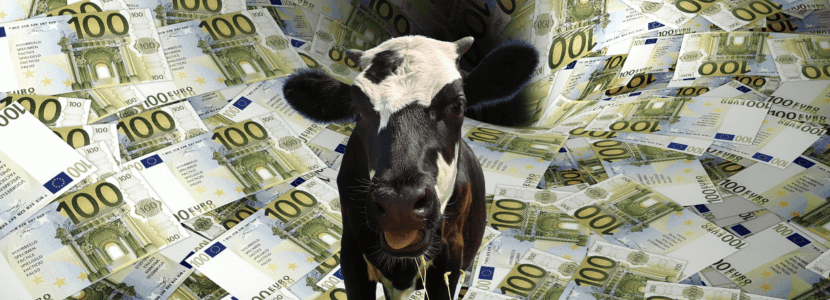 El Gobierno de Asturias concede más de 17 millones en ayudas Leader para apoyar 390 proyectos emprendedores en el medio rural