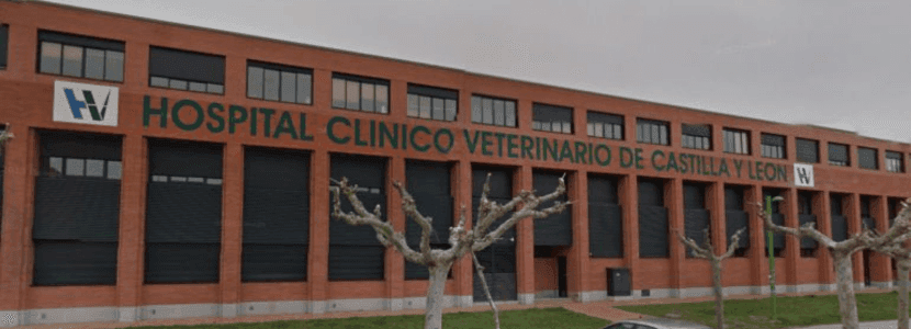 En marzo, se llevará a cabo una revisión de la acreditación europea en veterinaria