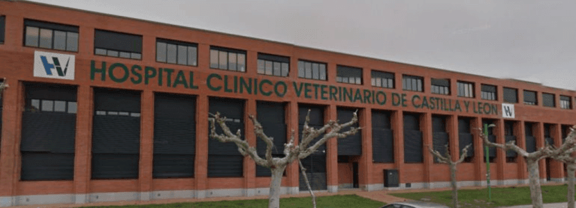 En marzo, se llevará a cabo una revisión de la acreditación europea en veterinaria
