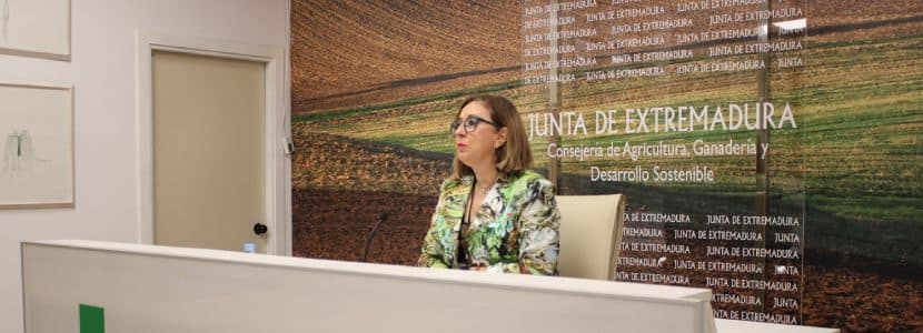 Extremadura pide reunirse con el ministerio por la Enfermedad Hemorrágica Epizoótica