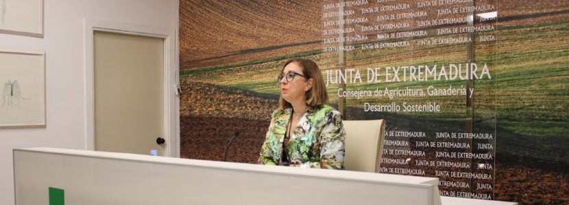 Extremadura pide reunirse con el ministerio por la Enfermedad Hemorrágica Epizoótica