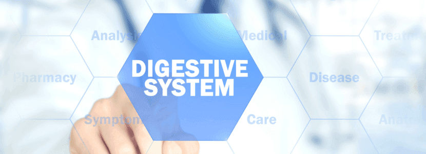Fisiologia digestiva I
