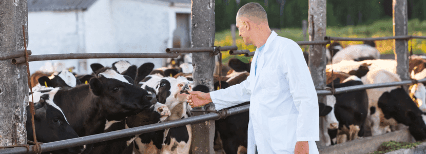 Piden a la Generalitat recordar la obligatoriedad de contar con un veterinario de explotación