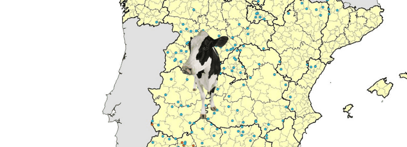Actualización de la situación de la Enfermedad Hemorrágica Epizoótica