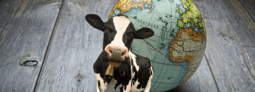 Las Organizaciones Interprofesionales Europeas ganadero-cárnicas de rumiantes se unen