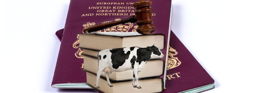 Unificada la normativa sobre identificación, registro y trazabilidad