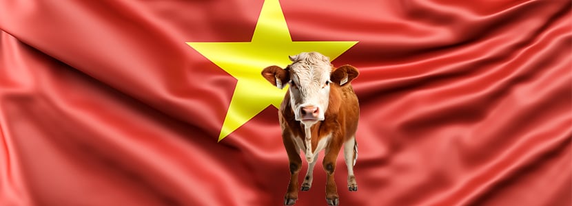 PROVACUNO culmina en Vietnam su campaña en el Sudeste Asiático