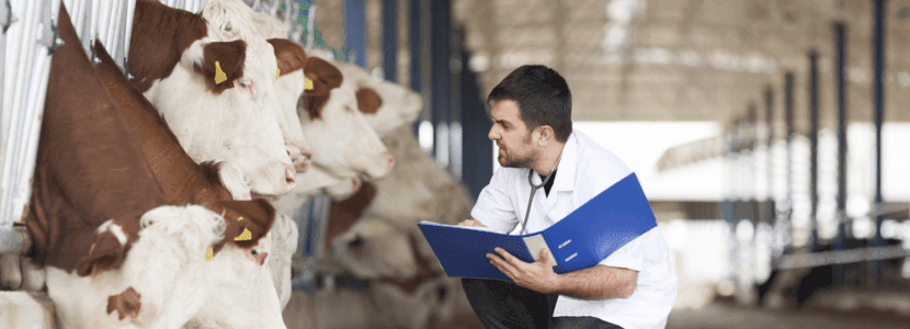 "Santos Ovejero" se ha convocado para los graduados en veterinaria