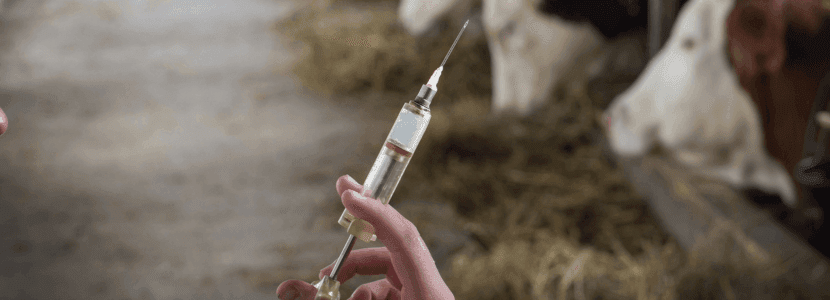 Aumento de reacciones anafilácticas en la UE a medicamentos veterinarios