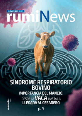 Revista rumiNews Noviembre 2023