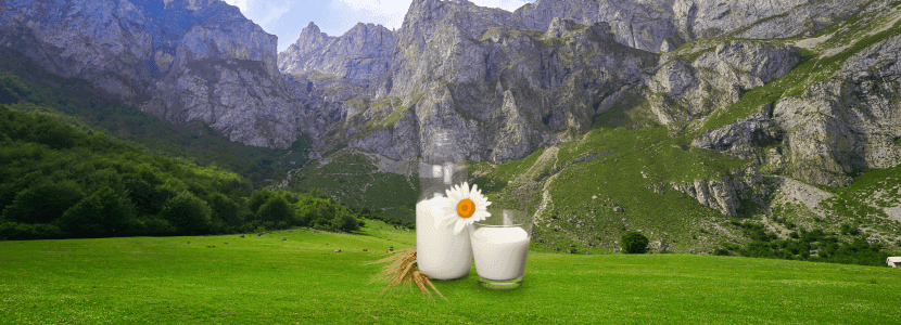 Cantabria anuncia dinamizar el sector lácteo con la creación de un grupo de trabajo