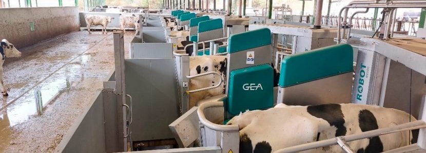 Nuevos proyectos de Batch Milking GEA