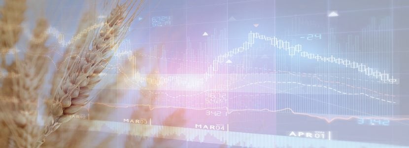 Informe materias primas febrero - Iniciamos el año con tendencia bajista