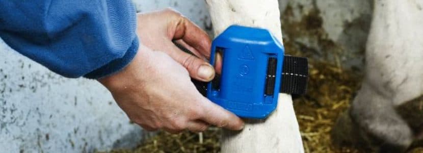 El IRTA apuesta por la digitalización del sector agroganadero