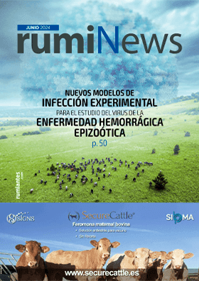 Revista rumiNews Junio 2024