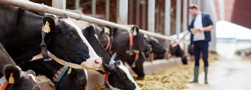 El Relevo Generacional: Un Desafío para el Futuro
