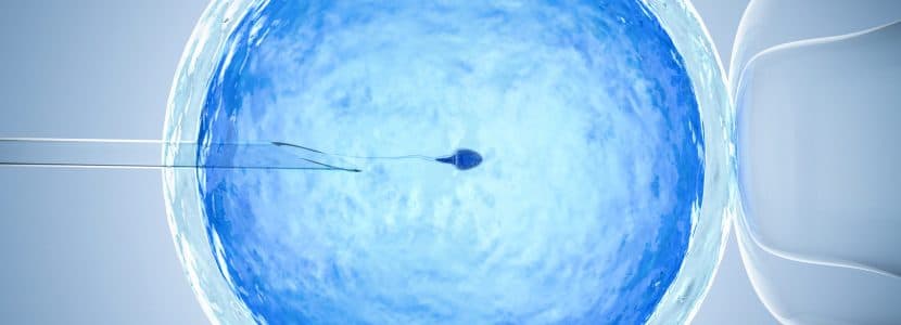 Perspectivas en inseminación artificial en rumiantes