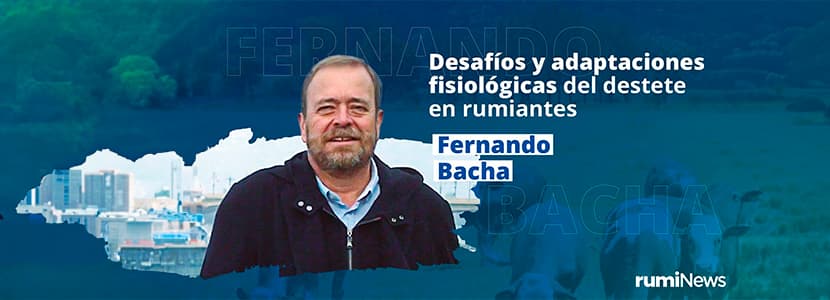 rumiNews On Air – Adaptaciones fisiológicas del destete en rumiantes: rumen y metabolismo con Fernando Bacha