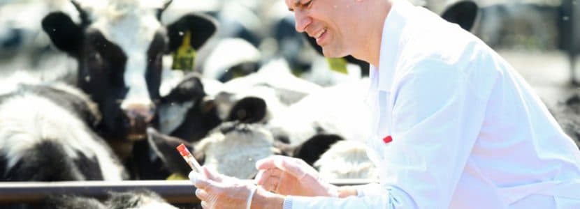 El veterinario de explotación pasará a ser una opción voluntaria