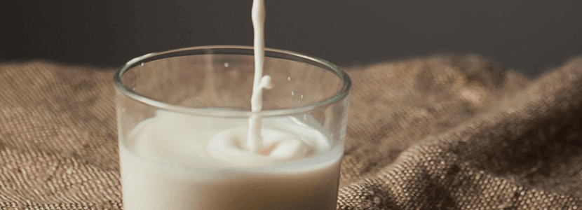Grasa de la leche saludable