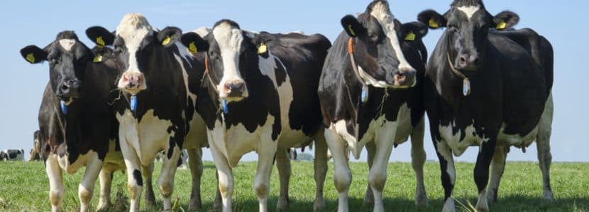 GEA y BIOPRANA posponen su jornada técnica sobre Batch Milking y descarbonización