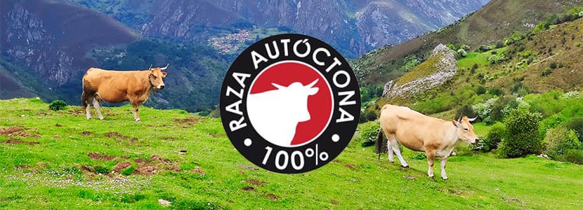 El Gobierno actualiza la regulación del logotipo «raza autóctona»