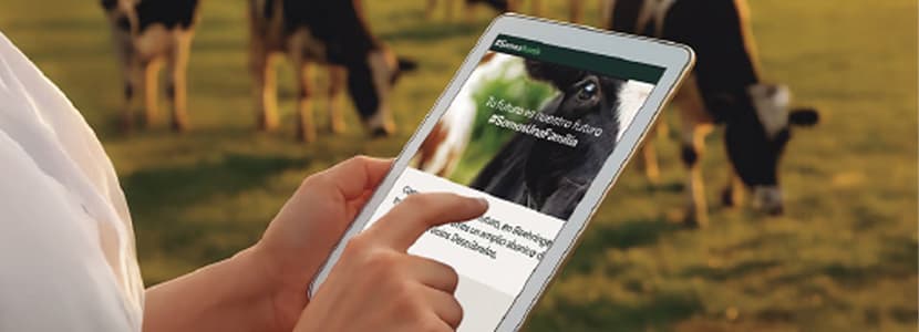 Somos Rumis: la plataforma de Boehringer Ingelheim para los profesionales de la ganadería y la veterinaria