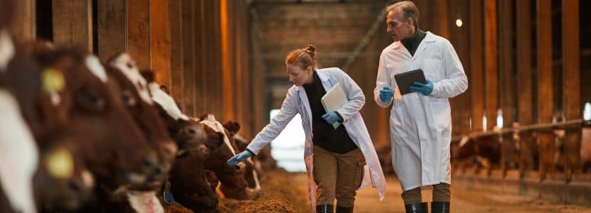 Extremadura refuerza el control de sanidad animal ante el aumento de riesgos sanitarios