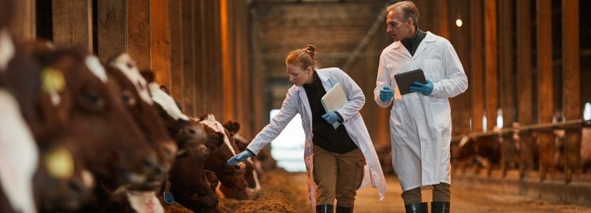 Extremadura refuerza el control de sanidad animal ante el aumento de riesgos sanitarios