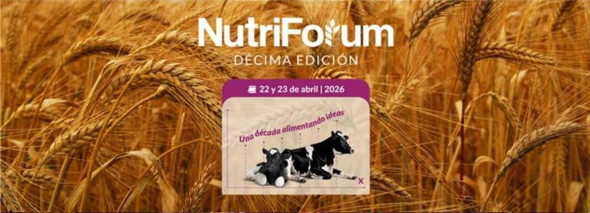 nutriForum 2026: nutrición inteligente en rumiantes