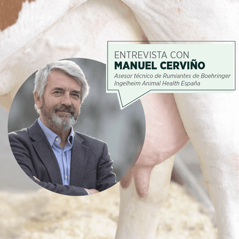 Lenzelta®: La nueva apuesta preventiva para reducir el impacto de la mastitis - Entrevista con Manuel Cerviño