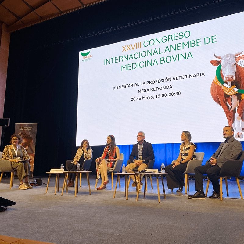 Boehringer Ingelheim impulsa el bienestar emocional y la salud laboral veterinaria en el Congreso ANEMBE