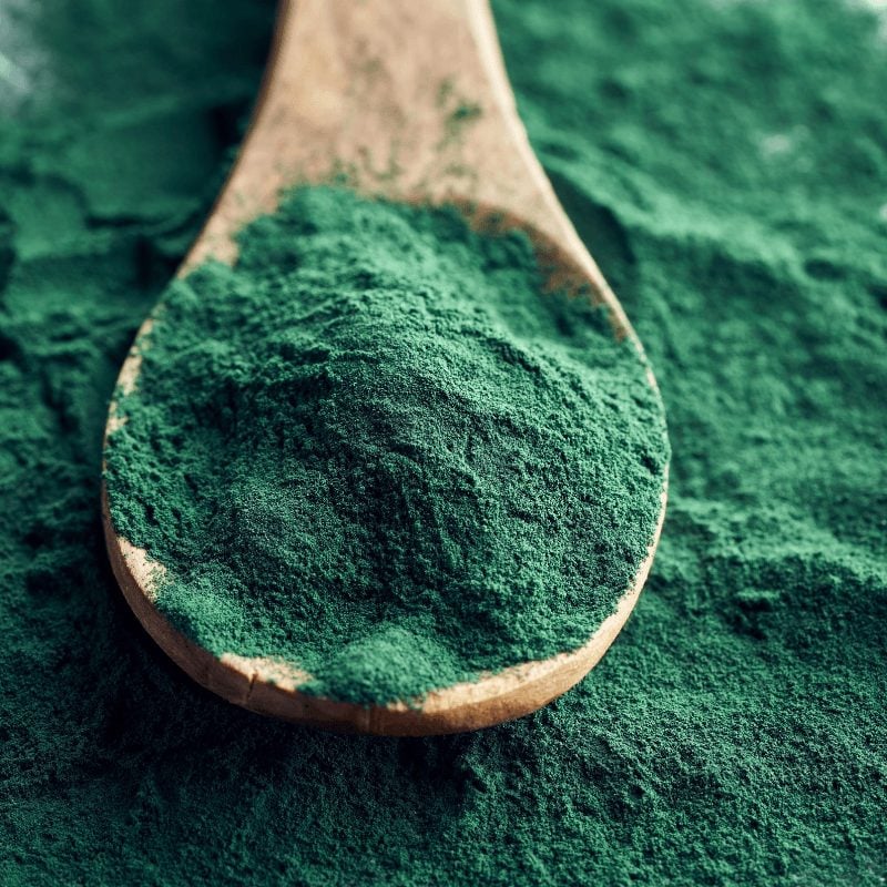 La Spirulina mejora la producción y la calidad de la leche