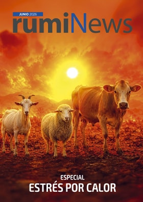 rumiNews Junio 2026