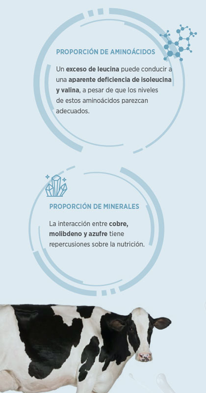 nutrición de precisión 