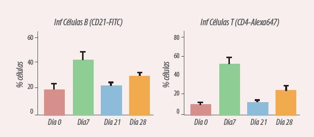 immunological alterations due to lesions in the udders of cows