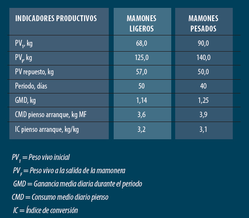 producción carne vacuno