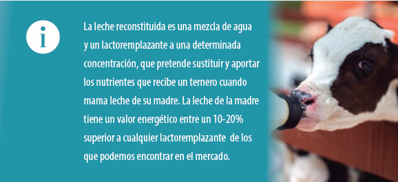 producción carne vacuno