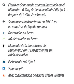 alimentación animal